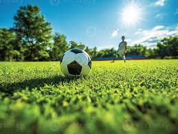 多维度足彩数据分析